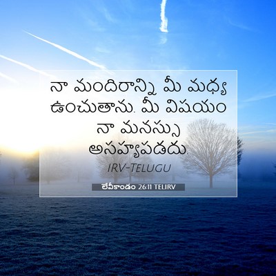 Picture 07 - లేవీకాండం 26:11 TELIRV - నా మందిరాన్ని మీ - Bible Verse Picture