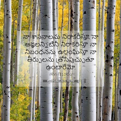 Picture 07 - లేవీకాండం 26:15 TELIRV - నా శాసనాలను - Bible Verse Picture