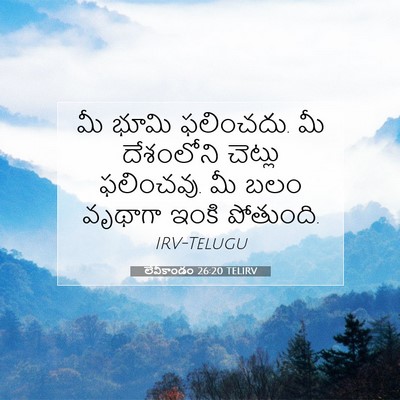 Picture 07 - లేవీకాండం 26:20 TELIRV - మీ భూమి ఫలించదు. మీ - Bible Verse Picture