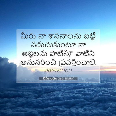 Picture 07 - లేవీకాండం 26:3 TELIRV - మీరు నా శాసనాలను - Bible Verse Picture