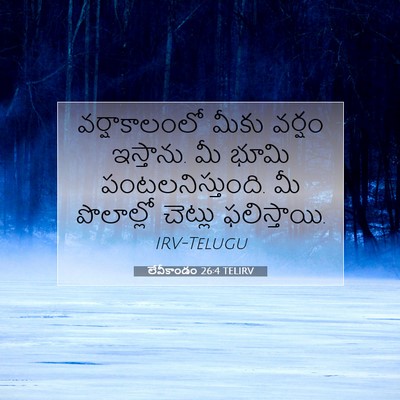 Picture 07 - లేవీకాండం 26:4 TELIRV - వర్షాకాలంలో మీకు - Bible Verse Picture