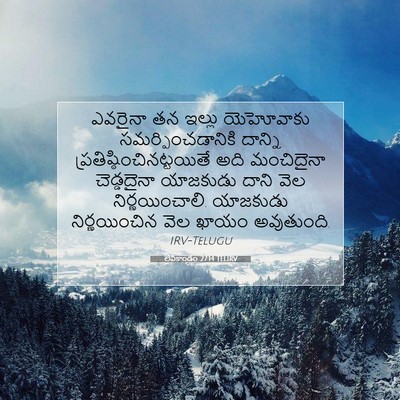 Picture 07 - లేవీకాండం 27:14 TELIRV - ఎవరైనా తన ఇల్లు - Bible Verse Picture
