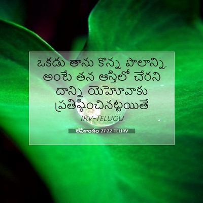 Picture 07 - లేవీకాండం 27:22 TELIRV - ఒకడు తాను కొన్న - Bible Verse Picture