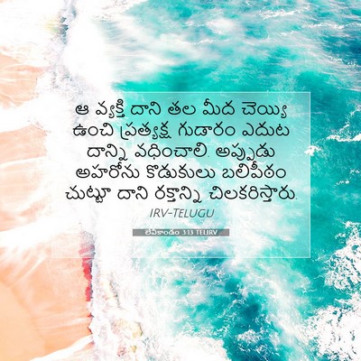 Picture 07 - లేవీకాండం 3:13 TELIRV - ఆ వ్యక్తి దాని తల - Bible Verse Picture