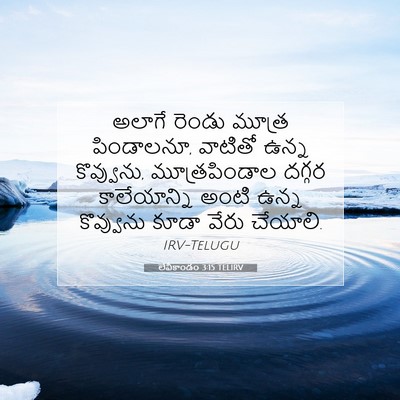 Picture 07 - లేవీకాండం 3:15 TELIRV - అలాగే రెండు మూత్ర - Bible Verse Picture