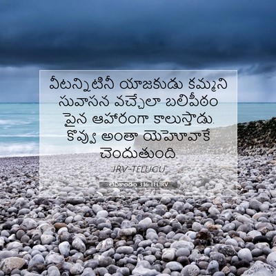 Picture 07 - లేవీకాండం 3:16 TELIRV - వీటన్నిటినీ - Bible Verse Picture