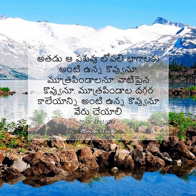 Picture 07 - లేవీకాండం 3:3 TELIRV - అతడు ఆ పశువు లోపలి - Bible Verse Picture
