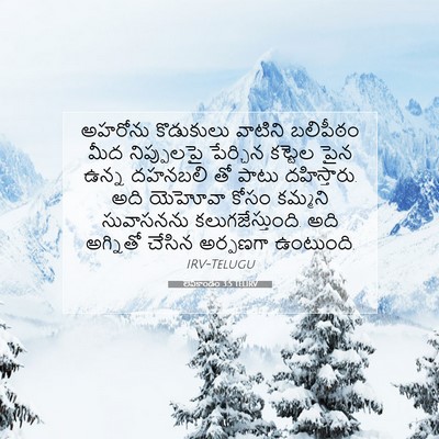 Picture 07 - లేవీకాండం 3:5 TELIRV - అహరోను కొడుకులు - Bible Verse Picture