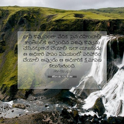Picture 07 - లేవీకాండం 4:26 TELIRV - దాని కొవ్వునంతా - Bible Verse Picture