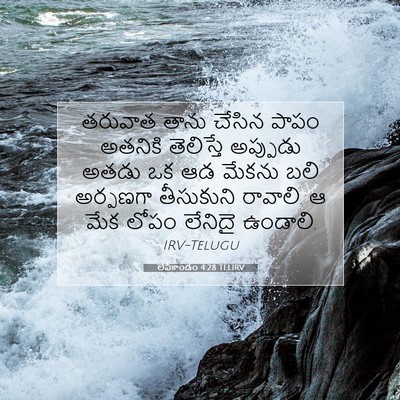 Picture 07 - లేవీకాండం 4:28 TELIRV - తరువాత తాను చేసిన - Bible Verse Picture