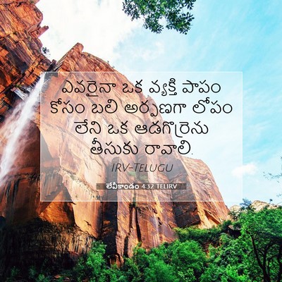 Picture 07 - లేవీకాండం 4:32 TELIRV - ఎవరైనా ఒక వ్యక్తి - Bible Verse Picture