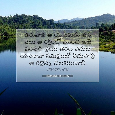 Picture 07 - లేవీకాండం 4:6 TELIRV - తరువాత ఆ యాజకుడు - Bible Verse Picture