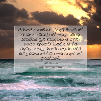 Picture 07 - లేవీకాండం 4:7 TELIRV - తరువాత యాజకుడు - Bible Verse Picture
