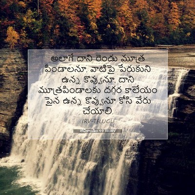 Picture 07 - లేవీకాండం 4:9 TELIRV - అలాగే దాని రెండు - Bible Verse Picture
