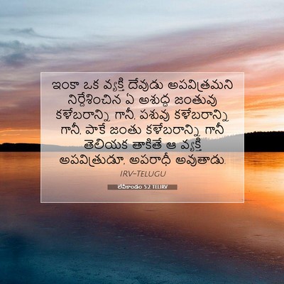Picture 07 - లేవీకాండం 5:2 TELIRV - ఇంకా ఒక వ్యక్తి - Bible Verse Picture
