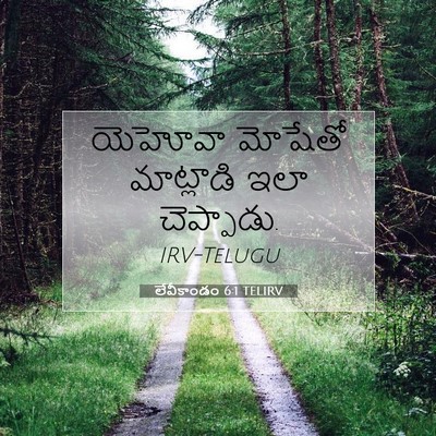 Picture 07 - లేవీకాండం 6:1 TELIRV - యెహోవా మోషేతో - Bible Verse Picture