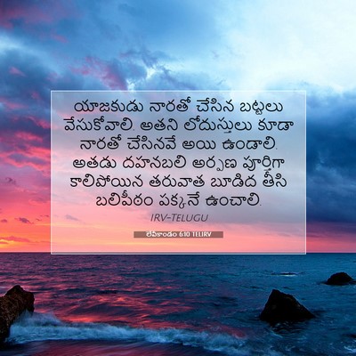 Picture 07 - లేవీకాండం 6:10 TELIRV - యాజకుడు నారతో - Bible Verse Picture