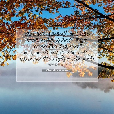 Picture 07 - లేవీకాండం 6:22 TELIRV - యాజకుని - Bible Verse Picture