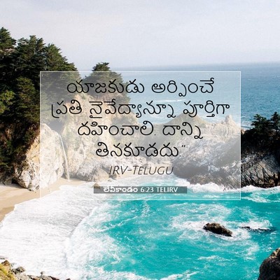 Picture 07 - లేవీకాండం 6:23 TELIRV - యాజకుడు అర్పించే - Bible Verse Picture