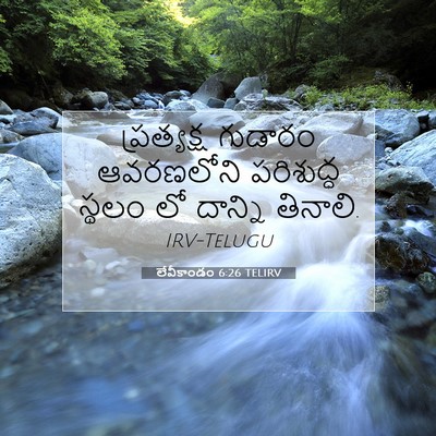 Picture 07 - లేవీకాండం 6:26 TELIRV - ప్రత్యక్ష గుడారం - Bible Verse Picture