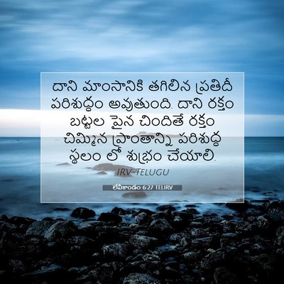 Picture 07 - లేవీకాండం 6:27 TELIRV - దాని మాంసానికి - Bible Verse Picture