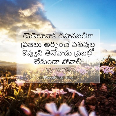 Picture 07 - లేవీకాండం 7:25 TELIRV - యెహోవాకి దహనబలిగా - Bible Verse Picture