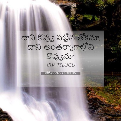 Picture 07 - లేవీకాండం 7:3 TELIRV - దాని కొవ్వు - Bible Verse Picture