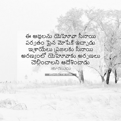 Picture 07 - లేవీకాండం 7:38 TELIRV - ఈ ఆజ్ఞలను యెహోవా - Bible Verse Picture