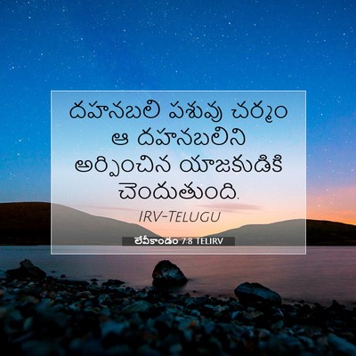 Picture 07 - లేవీకాండం 7:8 TELIRV - దహనబలి పశువు - Bible Verse Picture