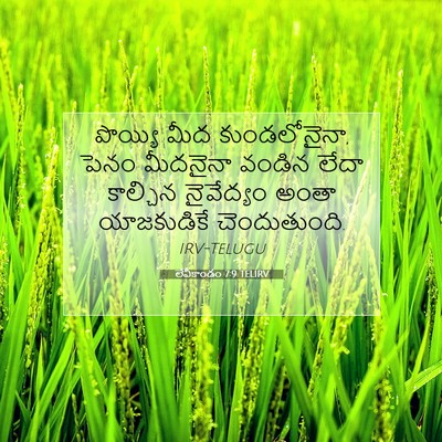 Picture 07 - లేవీకాండం 7:9 TELIRV - పొయ్యి మీద - Bible Verse Picture