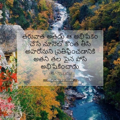 Picture 07 - లేవీకాండం 8:12 TELIRV - తరువాత అతడు ఆ - Bible Verse Picture