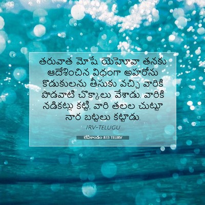 Picture 07 - లేవీకాండం 8:13 TELIRV - తరువాత మోషే - Bible Verse Picture