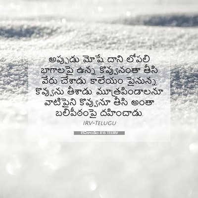 Picture 07 - లేవీకాండం 8:16 TELIRV - అప్పుడు మోషే దాని - Bible Verse Picture
