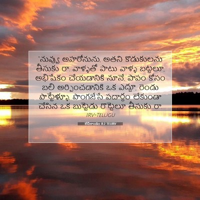 Picture 07 - లేవీకాండం 8:2 TELIRV - “నువ్వు అహరోనును, - Bible Verse Picture