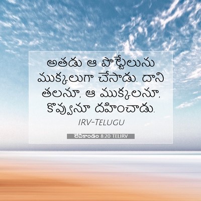 Picture 07 - లేవీకాండం 8:20 TELIRV - అతడు ఆ పొట్టేలును - Bible Verse Picture