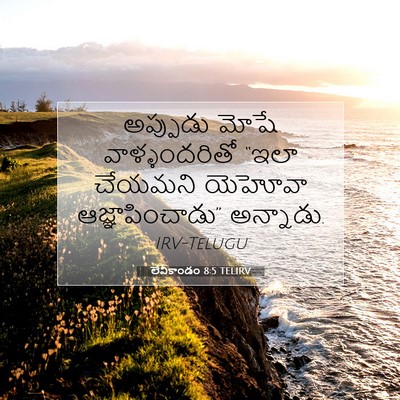 Picture 07 - లేవీకాండం 8:5 TELIRV - అప్పుడు మోషే - Bible Verse Picture