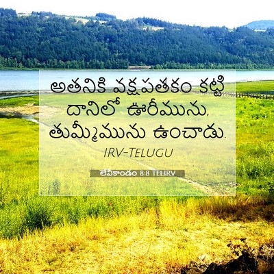 Picture 07 - లేవీకాండం 8:8 TELIRV - అతనికి వక్షపతకం - Bible Verse Picture