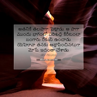Picture 07 - లేవీకాండం 8:9 TELIRV - అతనికి తలపాగా - Bible Verse Picture