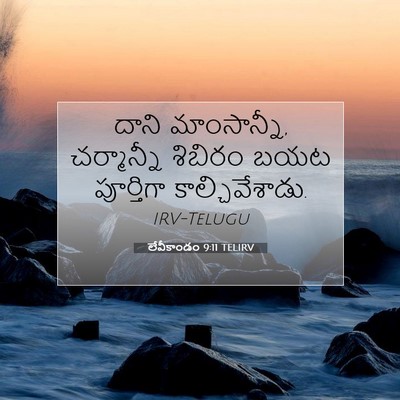 Picture 07 - లేవీకాండం 9:11 TELIRV - దాని మాంసాన్నీ, - Bible Verse Picture