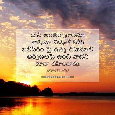 Picture 07 - లేవీకాండం 9:14 TELIRV - దాని - Bible Verse Picture