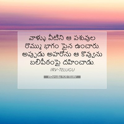 Picture 07 - లేవీకాండం 9:20 TELIRV - వాళ్ళు వీటిని ఆ - Bible Verse Picture