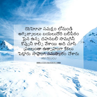 Picture 07 - లేవీకాండం 9:24 TELIRV - యెహోవా సమక్షం - Bible Verse Picture