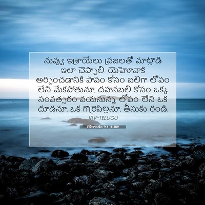 Picture 07 - లేవీకాండం 9:3 TELIRV - నువ్వు ఇశ్రాయేలు - Bible Verse Picture