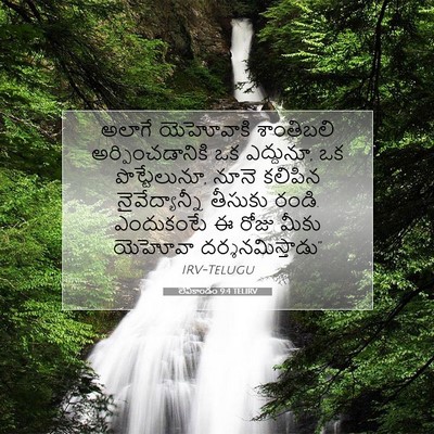 Picture 07 - లేవీకాండం 9:4 TELIRV - అలాగే యెహోవాకి - Bible Verse Picture