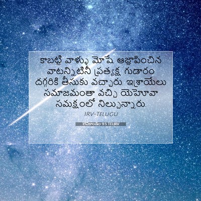 Picture 07 - లేవీకాండం 9:5 TELIRV - కాబట్టి వాళ్ళు - Bible Verse Picture