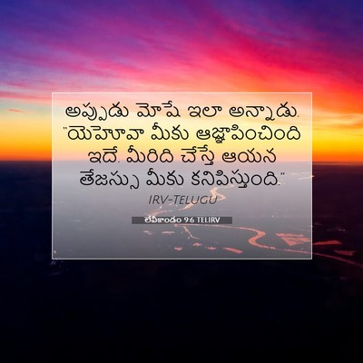Picture 07 - లేవీకాండం 9:6 TELIRV - అప్పుడు మోషే ఇలా - Bible Verse Picture