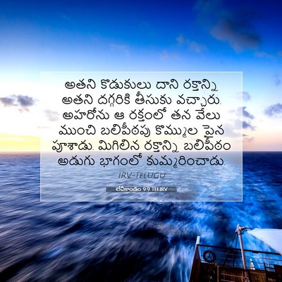 Picture 07 - లేవీకాండం 9:9 TELIRV - అతని కొడుకులు - Bible Verse Picture