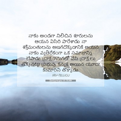 Picture 07 - విలాపవాక్యాలు 1:15 TELIRV - నాకు అండగా - Bible Verse Picture