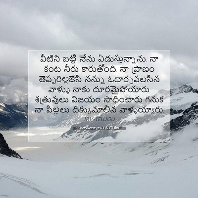 Picture 07 - విలాపవాక్యాలు 1:16 TELIRV - వీటిని బట్టి నేను - Bible Verse Picture