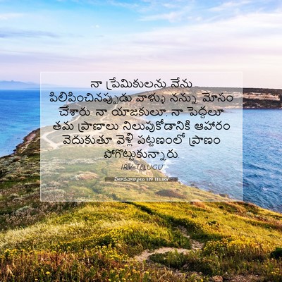 Picture 07 - విలాపవాక్యాలు 1:19 TELIRV - నా ప్రేమికులను - Bible Verse Picture